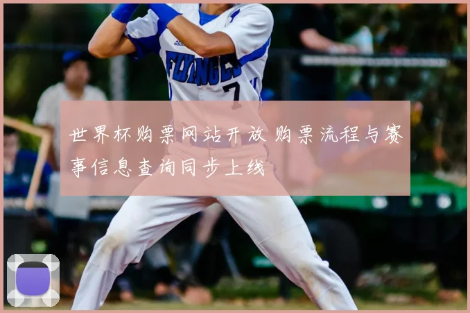世界杯购票网站开放 购票流程与赛事信息查询同步上线