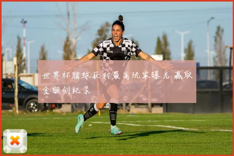 世界杯赌球获利最高玩家曝光 赢取金额创纪录