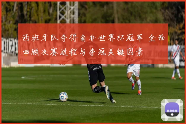 西班牙队夺得南非世界杯冠军 全面回顾决赛进程与夺冠关键因素