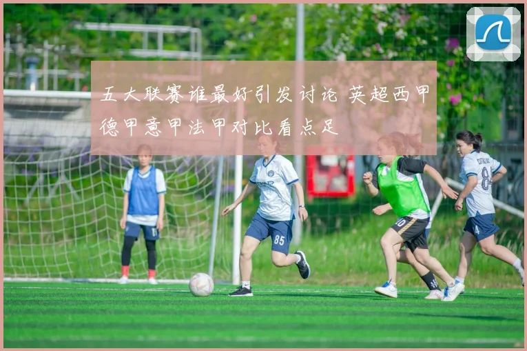 五大联赛谁最好引发讨论 英超西甲德甲意甲法甲对比看点足