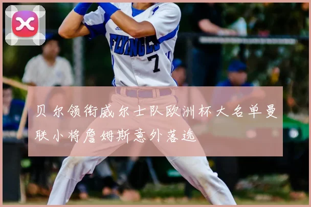 贝尔领衔威尔士队欧洲杯大名单曼联小将詹姆斯意外落选