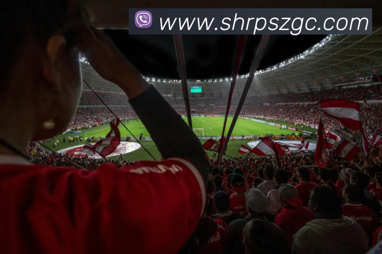 开云app在线入口服务体系